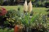 Garten-Ideen