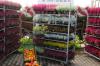 Herbstsortiment 1