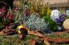 Herbstsortiment