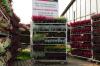 Herbstsortiment 3