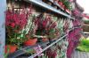 Herbstsortiment 4